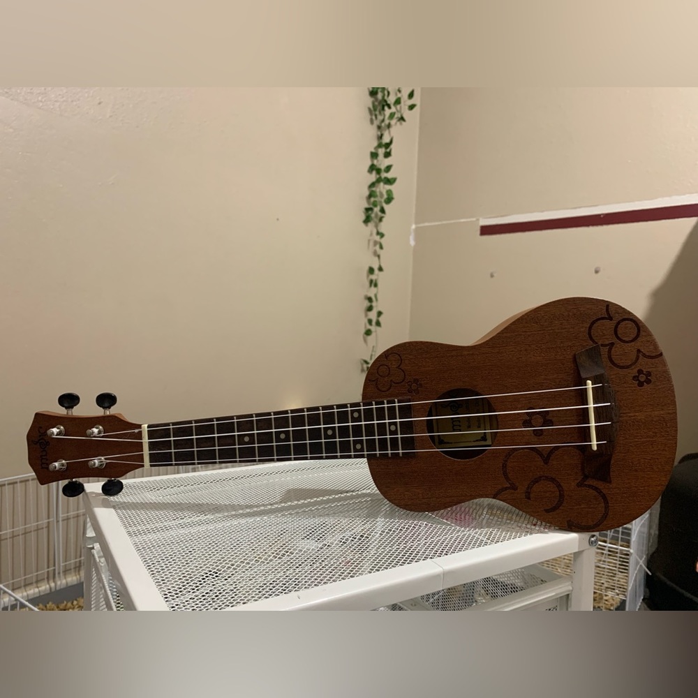 Ukulele,